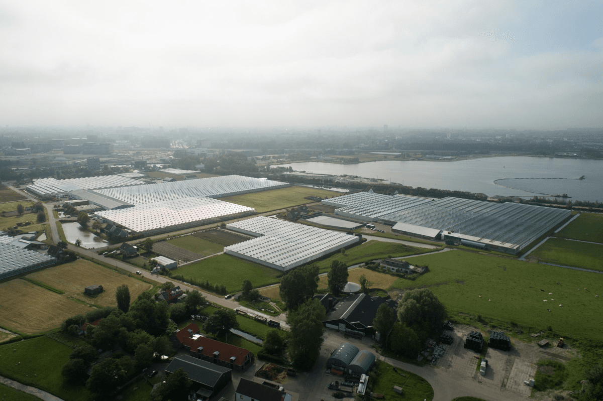 Aerial view of the Zijlhoek-de Woerd area in Katwijk, with greenhouses and the Valkenburgse Meer